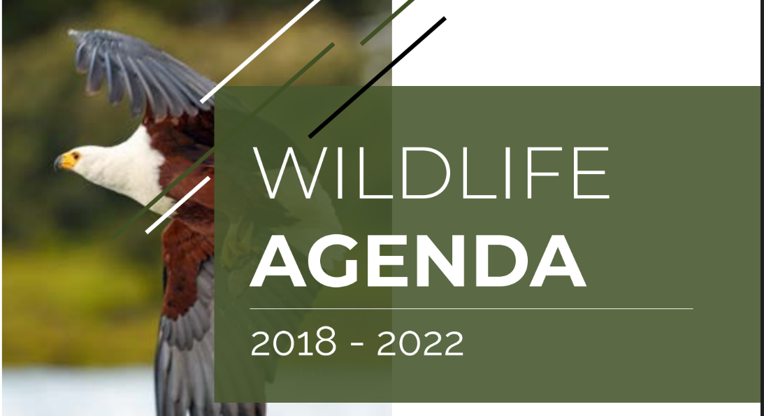 5 year action plan for Kenya’s National Wildlife Strategy 2030